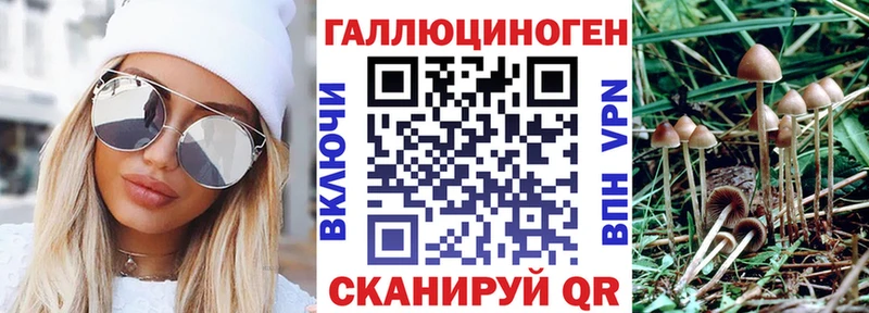 где можно купить гидра маркетплейс Галлюциногенные грибы GOLDEN TEACHER Омутнинск